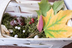 Coole Ideen für die Herbstferien für Groß und Klein