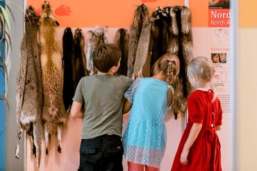 Kindergeburtstag Naturkundemuseum Potsdam
