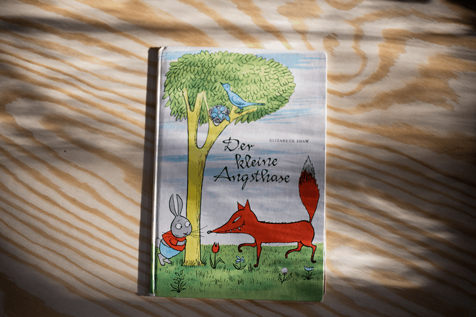 Buch zum 3. Geburtstag: Der kleine Angsthase