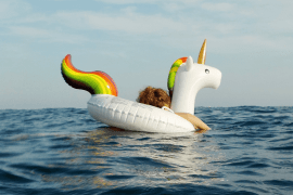 Ein Kind im Einhorn-Schwimmreifen auf dem Meer