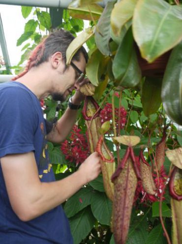 Geburtstag feiern im Botanischen Garten Potsdam