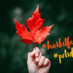 Herbstferien Ferienprogramm Potsdam