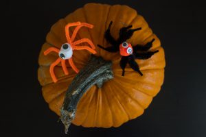 halloween diy idee spinnen basteln
