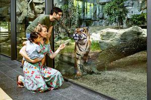 tierpark berlin zoo ausflug potsdam