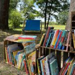 bücherpicknick volkspark potsdam bücher flohmarkt kinderbücher