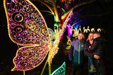 christmas garden berlin botanischer garten tierpark berlin lichter weihnachten