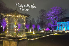 tierpark berlin weihnachten lichter christmas garden