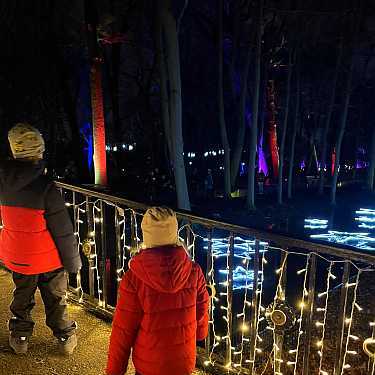 tierpark berlin weihnachten lichter christmas garden