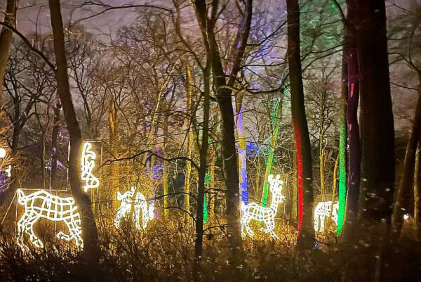 Ausflugstipp: Weihnachten Im Tierpark Berlin