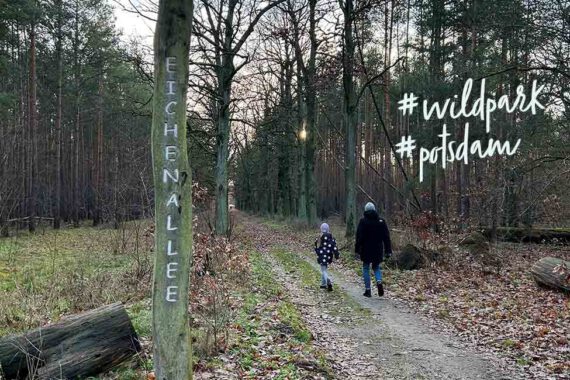 Wildpark Potsdam Ausflugstipp Freizeit
