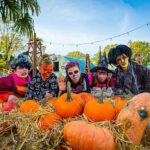 halloween potsdam filmpark babelsberg