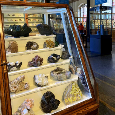museum für naturkunde berlin naturkundemuseum öffnungszeiten preise tickets adresse mineralien