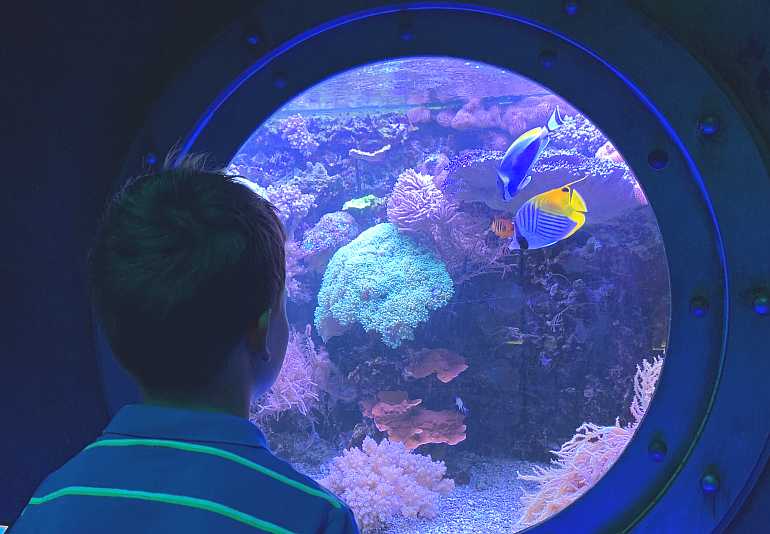 biosphäre potsdam anfahrt parken aquarium fische aquasphäre