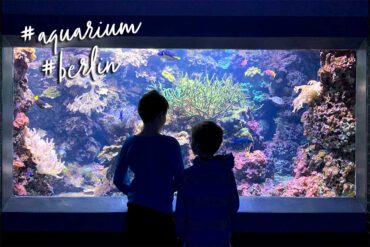 aquarium berlin mit kindern familie besuch tipps