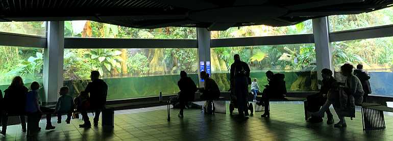 aquarium berlin zoo öffnungszeiten tickets eintritt besuch familie kinder