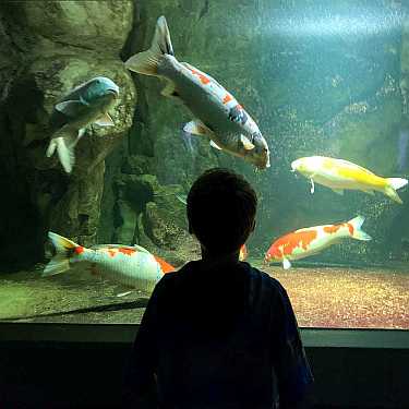 aquarium berlin zoo 