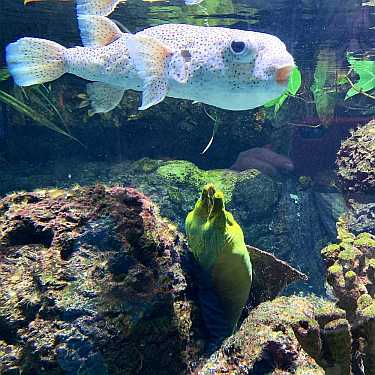 aquarium berlin zoo aqarium