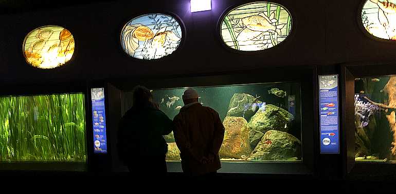 aquarium berlin zoo öffnungszeiten tickets eintritt besuch familie kinder
