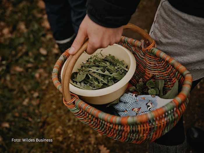 susanne hackel kräuterkurs heilpflanzen volkspark potsdam