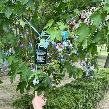 schnullerbaum nuckel germendorf