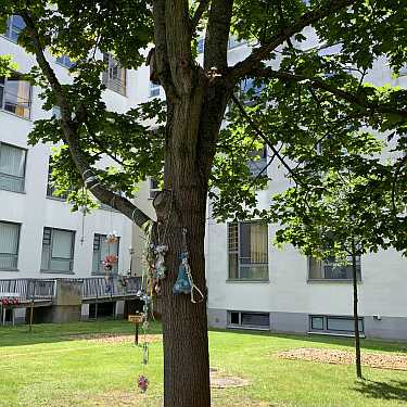 schnullerbaum potsdam nuckel bergmann klinikum