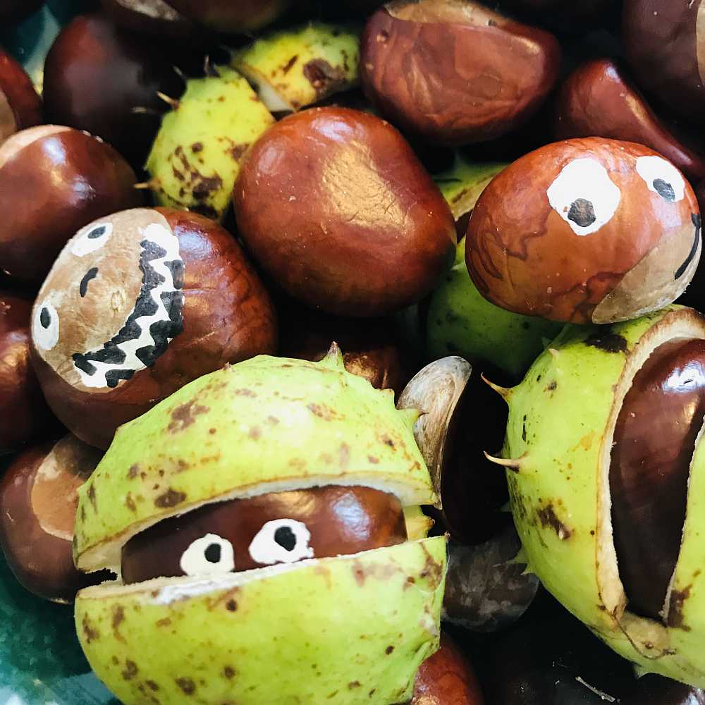 Mit Kastanien Spielen Oder Basteln 6 Ideen Mit Kastanien Spielen Oder Basteln 6 Ideen