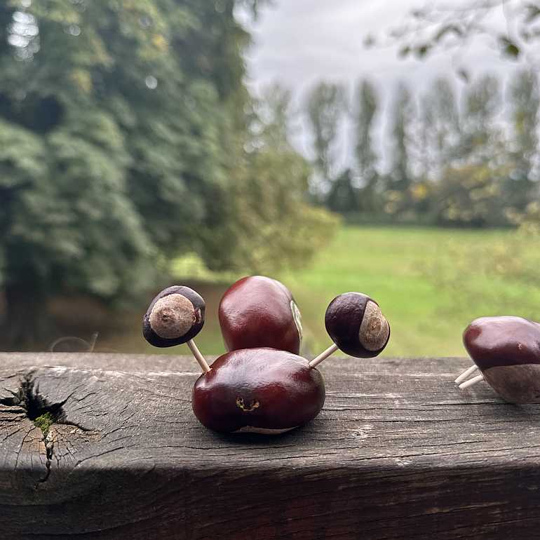 kastanien tier männchen basteln 