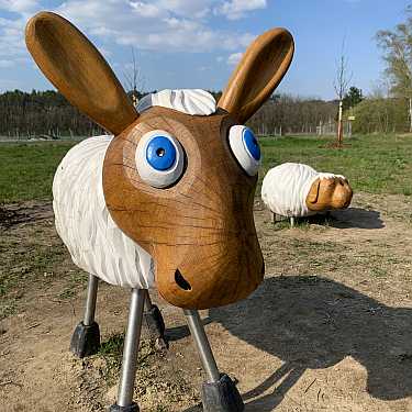 spielplatz golm potsdam herzberg