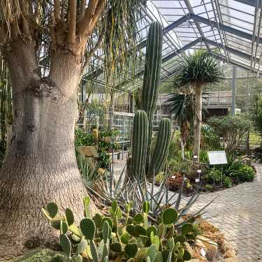 botanischer garten potsdam