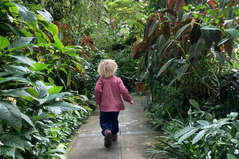 botanischer garten potsdam