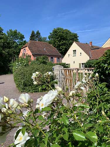 insel werder ausflug
