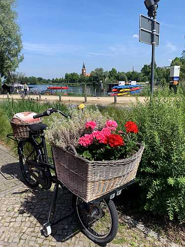 insel werder tipps
