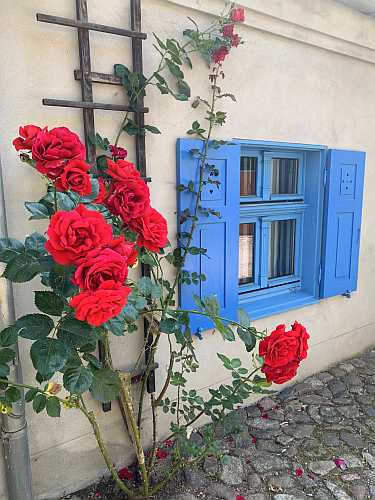 insel werder ausflug