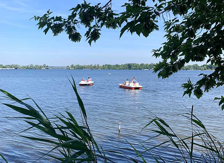 werder bootsverleih treetboot ausleihen insel