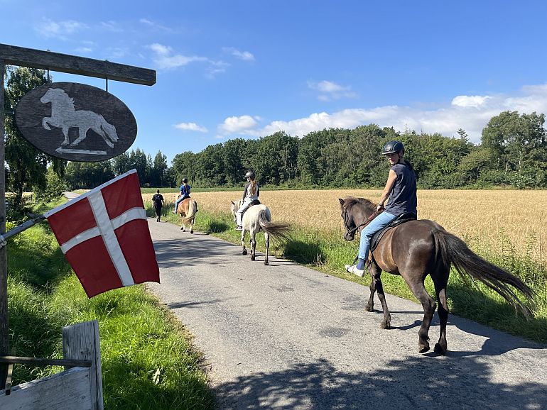 haustausch erfahrungen tipps haus tauschen urlaub