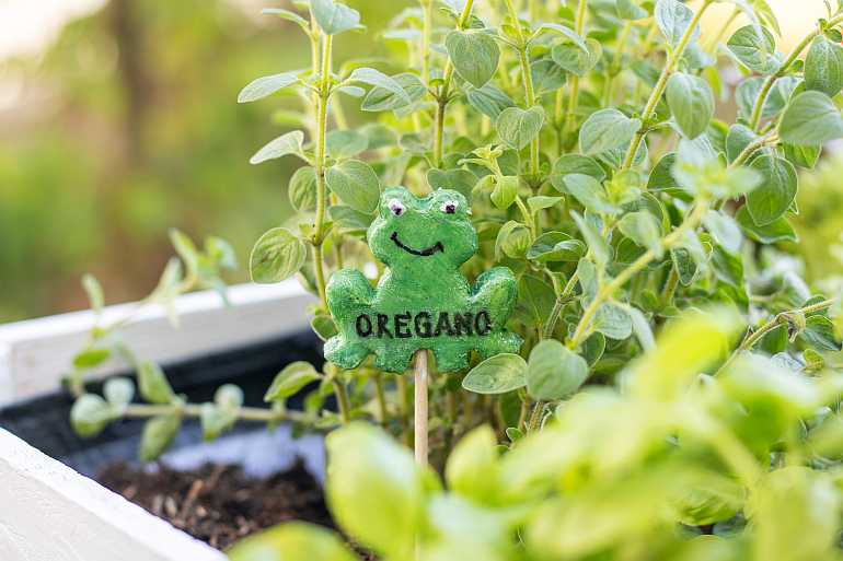 kinderbeet hochbeet balkon obstkiste diy