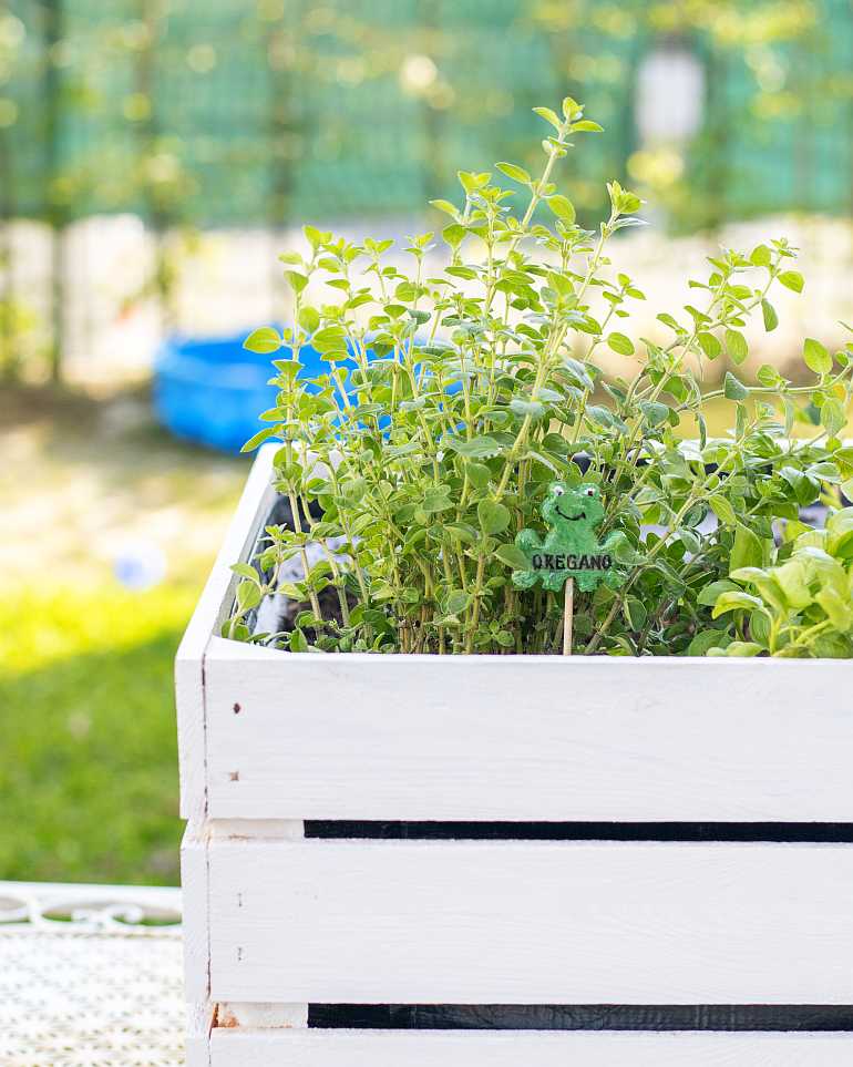 kinderbeet hochbeet balkon obstkiste diy