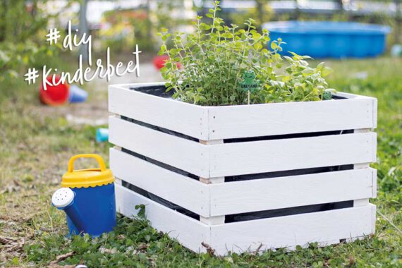 kinderbeet hochbeet balkon obstkiste diy