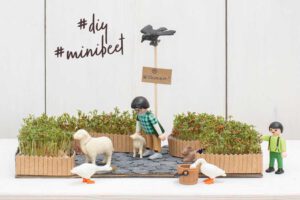 diy minibeet kressegarten