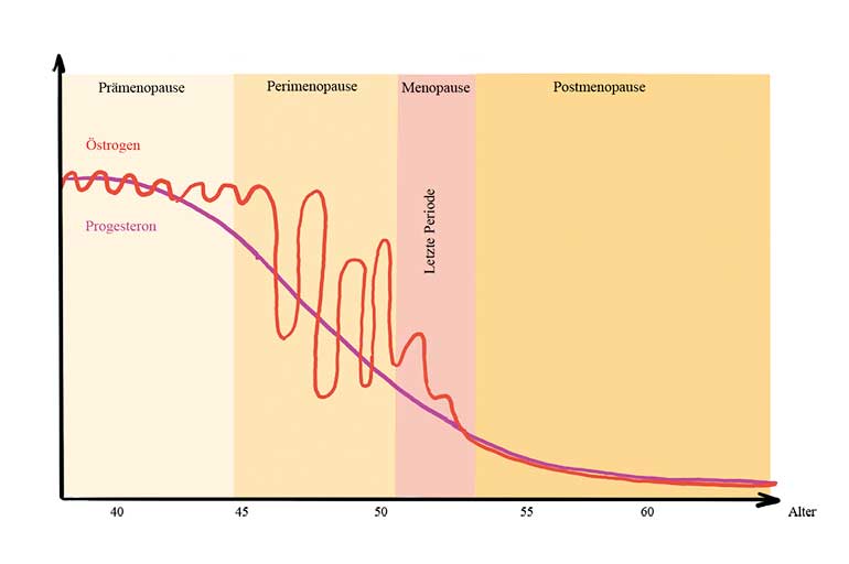 hormone wechseljahre perimenopause östrogen progesteron verlauf grafik