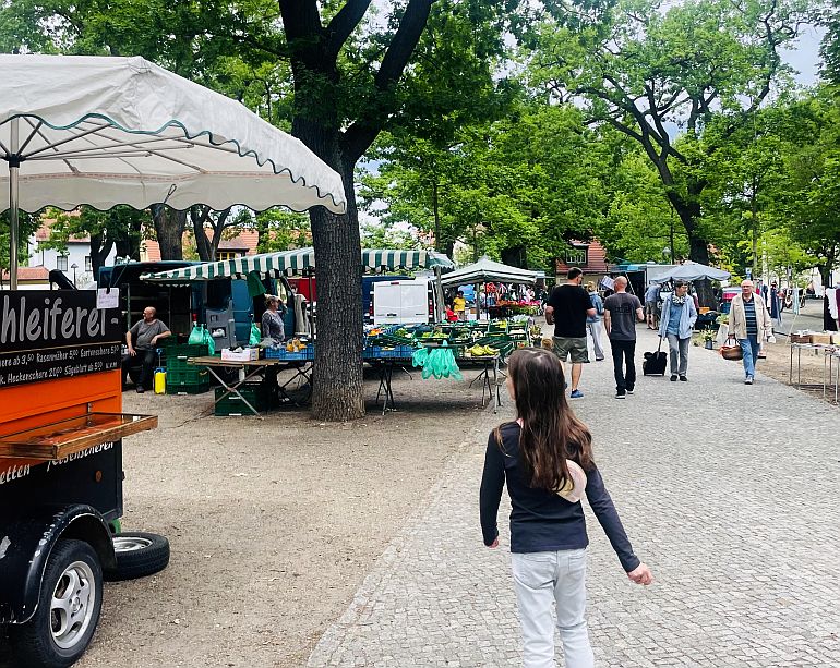 wochenmarkt potsdam babelsberg weberplatz markt 