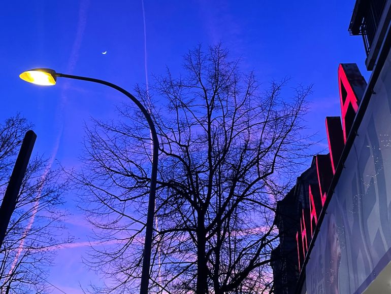 thalia kino potsdam babelsberg